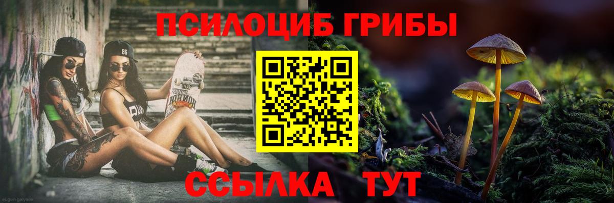 Галлюциногенные грибы ЛСД  Вход с VPN  Большой Камень 